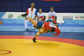What Is Sambo? History, Styles & Rules Explained